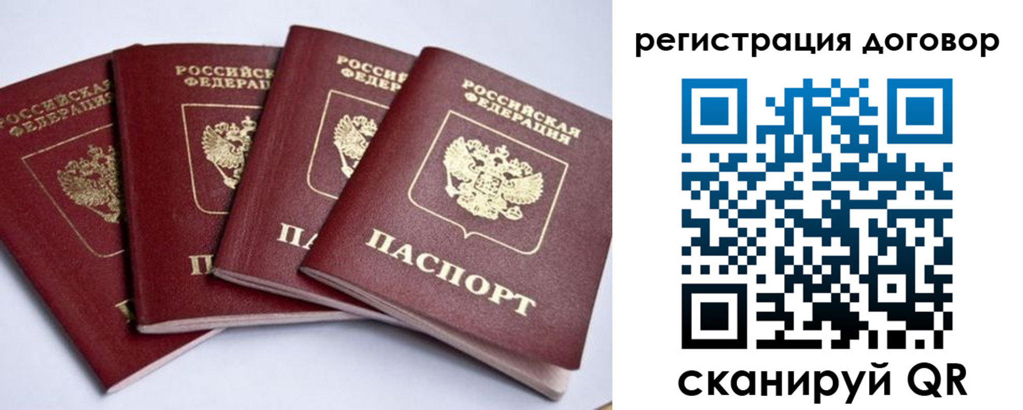 прописка поиск в Людиново